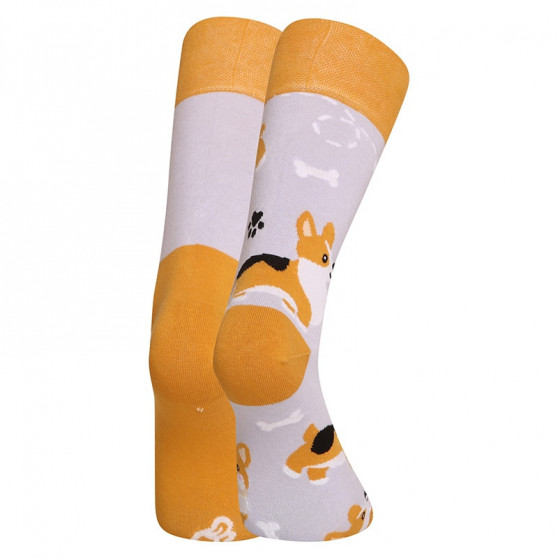 Calcetines felices Dedoles Perro Corgi (GMRS241)