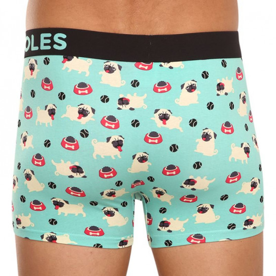 Alegres Boxers para hombre Dedoles Puggle (GMMT022)