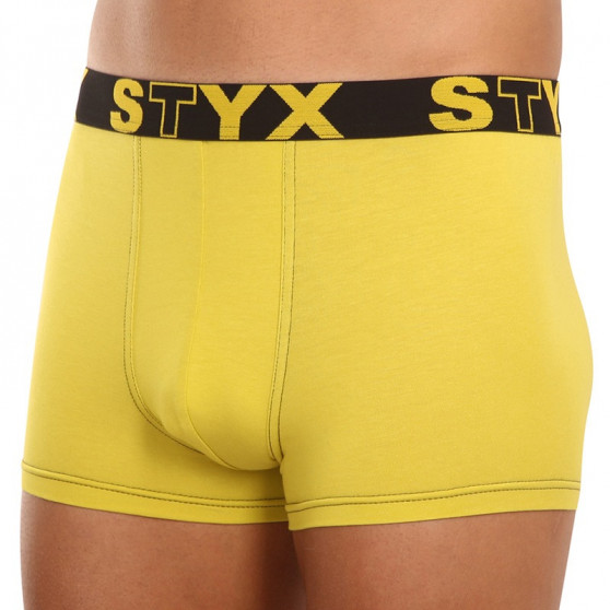 Boxers para hombre Styx goma clásica verde y amarilla (G1065)