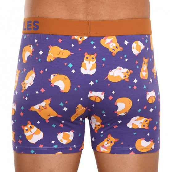 Alegres Boxers para hombre Dedoles Hamster (GMMT1128)