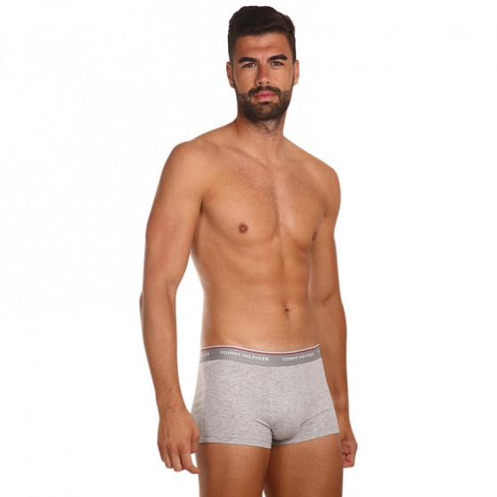 3PACK Boxers para hombre Tommy Hilfiger multicolor (1U87903841 004)