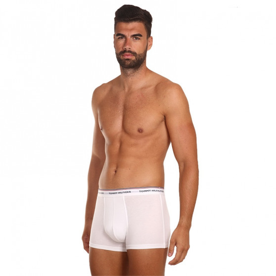 3PACK Boxers para hombre Tommy Hilfiger multicolor (1U87903842 004)