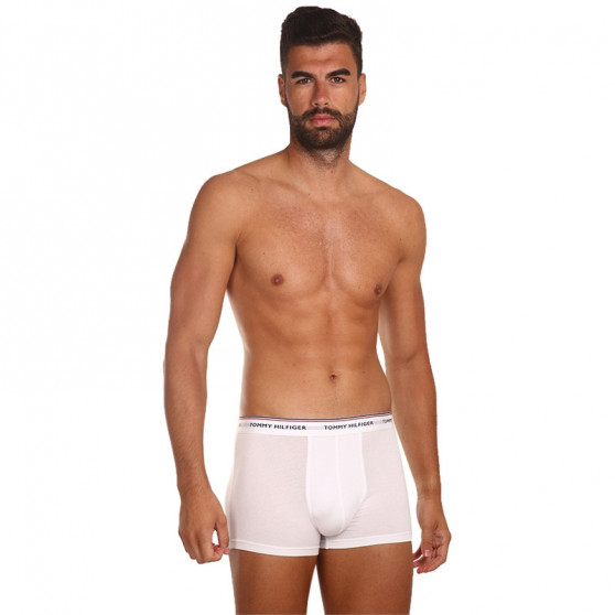 3PACK Boxers para hombre Tommy Hilfiger multicolor (1U87903842 004)