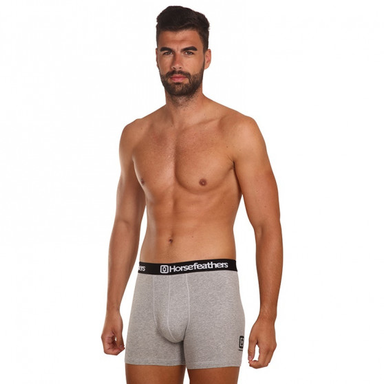 3PACK Boxers para hombre Horsefeathers Dynasty gris brezo (AM067C)