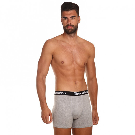 3PACK Boxers para hombre Horsefeathers Dynasty gris brezo (AM067C)