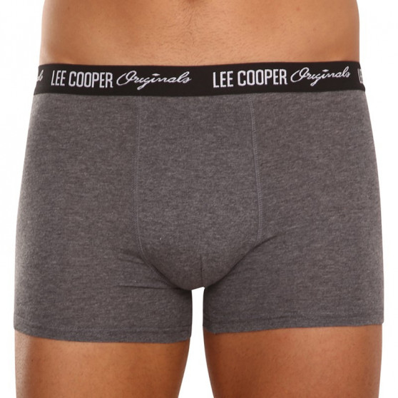 10PACK Boxers para hombre Lee Cooper multicolor (LCUBOX10P0102-1440169)