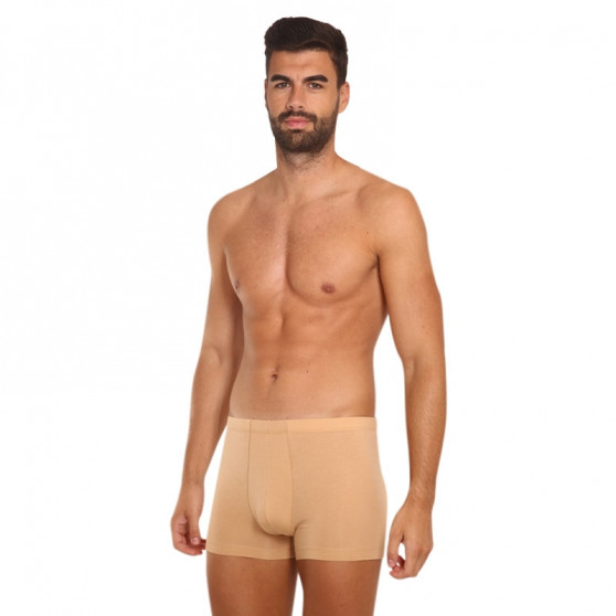 Boxers invisibles para hombre Covert beige (153096-410)