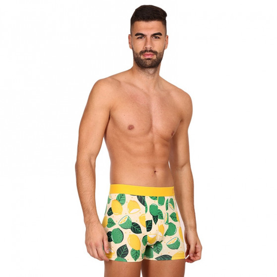 Alegres Boxers para hombre Dedoles Lima y limón (D-M-UN-T-C-C-1563)