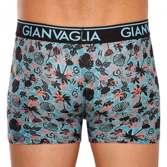 3PACK Boxers para hombre Gianvaglia multicolor (GVG-5502)