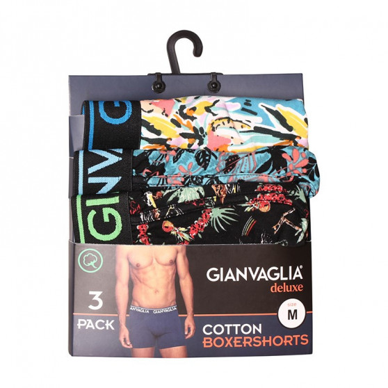 3PACK Boxers para hombre Gianvaglia multicolor (GVG-5502)