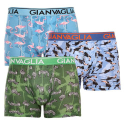 3PACK Boxers para hombre Gianvaglia multicolor (GVG-5501)