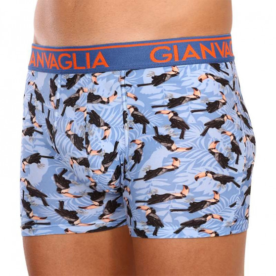 3PACK Boxers para hombre Gianvaglia multicolor (GVG-5501)