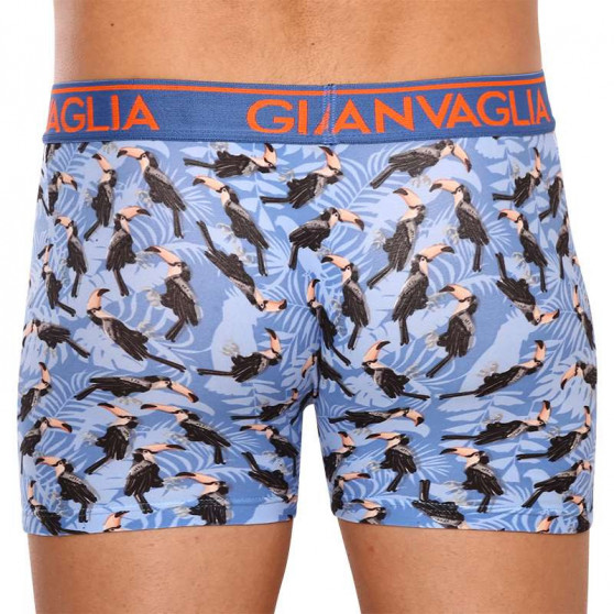 3PACK Boxers para hombre Gianvaglia multicolor (GVG-5501)