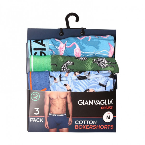 3PACK Boxers para hombre Gianvaglia multicolor (GVG-5501)