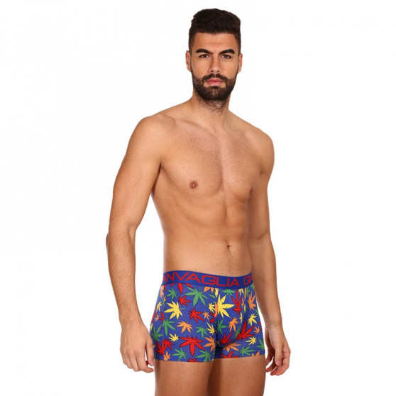 3PACK Boxers para hombre Gianvaglia multicolor (GVG-5058)