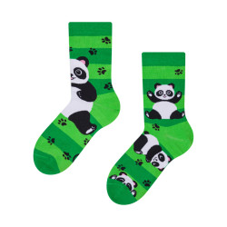 Calcetines bebé feliz Dedoles Pandas y cinturones (D-K-SC-RS-C-C-249)