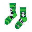 Calcetines bebé feliz Dedoles Pandas y cinturones (D-K-SC-RS-C-C-249)