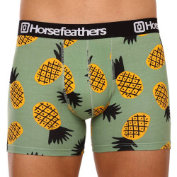 Boxers para hombre Horsefeathers Sidney Pineapple (AM164G)