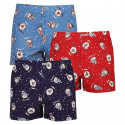 3PACK short hombre Andrie multicolor (PS 5683)