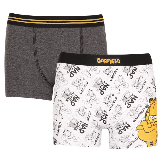 2PACK Boxers de niño E plus M Garfield multicolor (52 33 110/080)