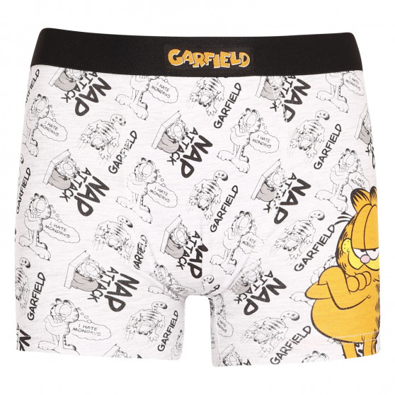 2PACK Boxers de niño E plus M Garfield multicolor (52 33 110/080)