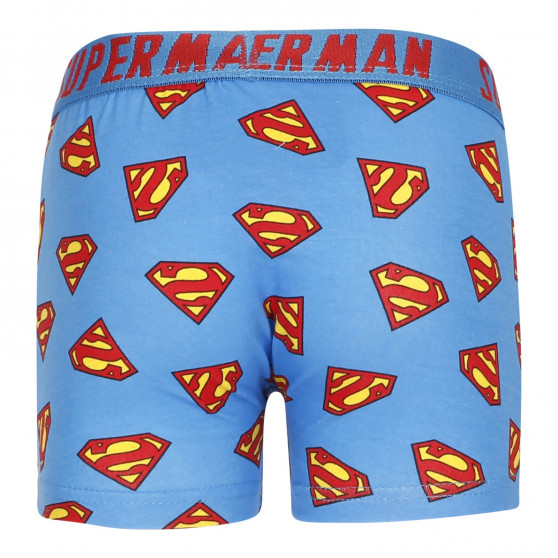 2PACK Boxers de niño E plus M Superman multicolor (52 33 239/296)