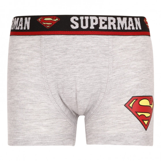 2PACK Boxers de niño E plus M Superman multicolor (52 33 239/296)