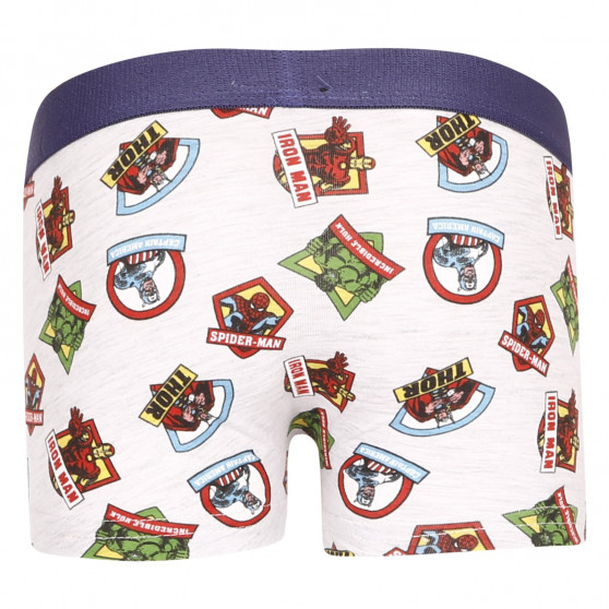 2PACK Boxers de niño E plus M Marvel multicolor (52 33 307/333)