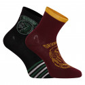 2PACK calcetines para niños E plus M Harry Potter multicolor (52 34 353)