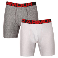 2PACK Boxers para hombre Under Armour gris (1363619 011)