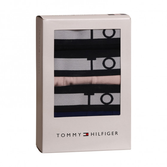 3PACK Boxers para hombre Tommy Hilfiger multicolor (UM0UM02202 0TW)