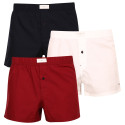 3PACK short hombre Tommy Hilfiger multicolor (UM0UM02848 0WE)