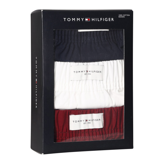 3PACK short hombre Tommy Hilfiger multicolor (UM0UM02848 0WE)