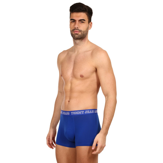 3PACK Boxers para hombre Tommy Hilfiger multicolor (UM0UM02850 0T8)