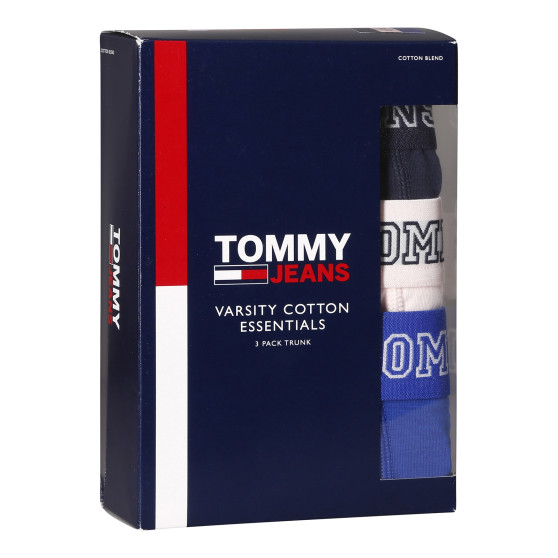 3PACK Boxers para hombre Tommy Hilfiger multicolor (UM0UM02850 0T8)