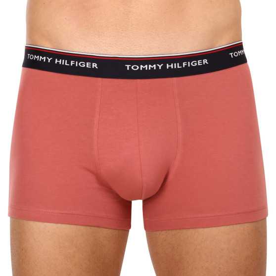 3PACK Boxers para hombre Tommy Hilfiger multicolor (1U87903842 0Y4)