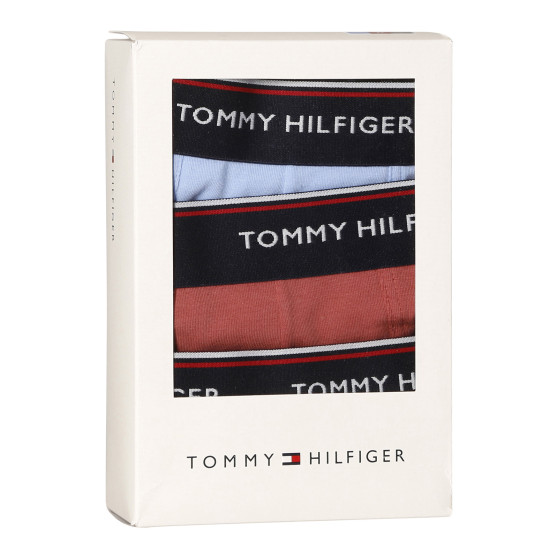 3PACK Boxers para hombre Tommy Hilfiger multicolor (1U87903842 0Y4)