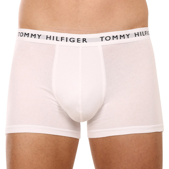 3PACK Boxers para hombre Tommy Hilfiger multicolor (UM0UM02203 0XK)