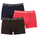 3PACK Boxers para hombre Tommy Hilfiger multicolor (UM0UM02850 0T0)