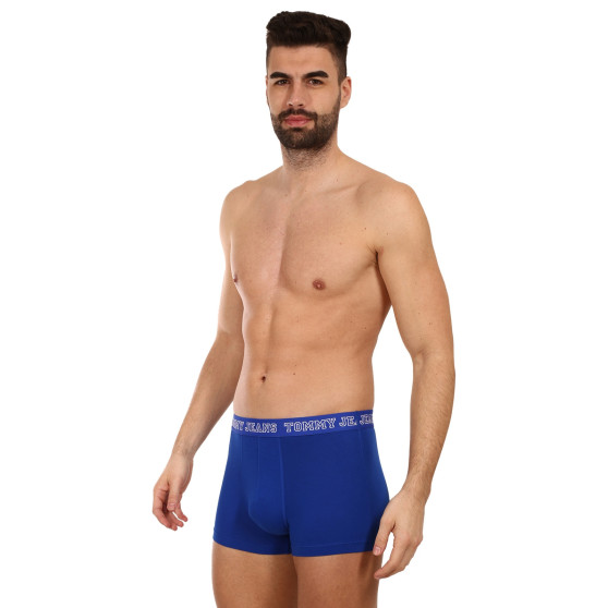 3PACK Boxers para hombre Tommy Hilfiger multicolor (UM0UM02850 0TV)