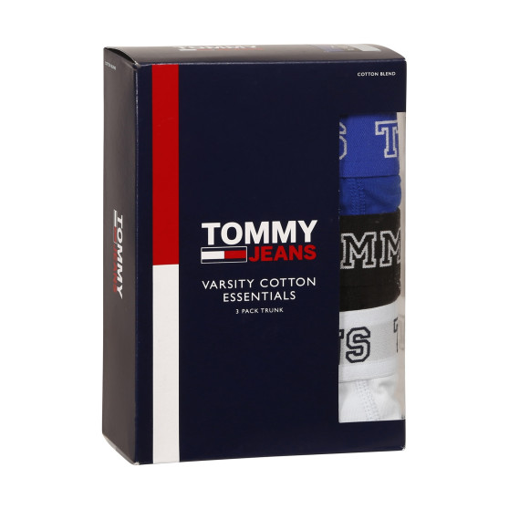 3PACK Boxers para hombre Tommy Hilfiger multicolor (UM0UM02850 0TV)