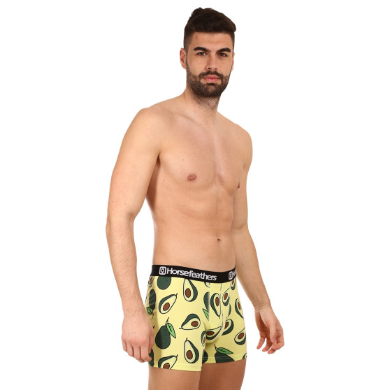 Boxers para hombre Horsefeathers Sidney Avocado (AM164K)