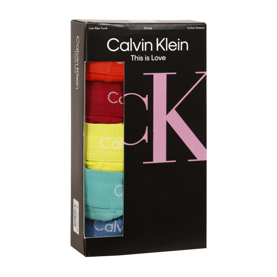 5PACK Boxers para hombre Calvin Klein multicolor (NB1348A-BNG)