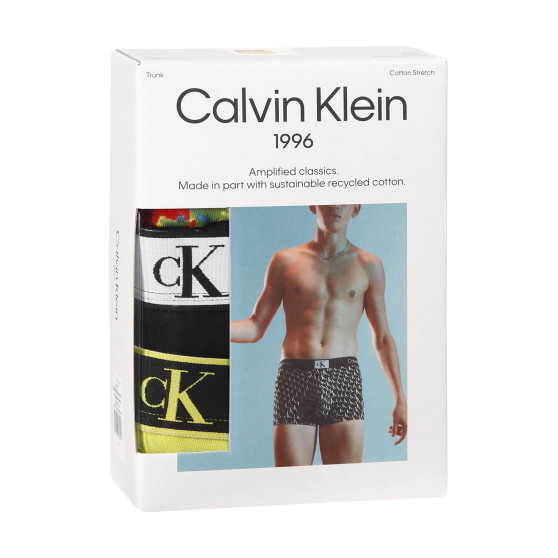 3PACK Boxers para hombre Calvin Klein multicolor (NB3528A-DY0)