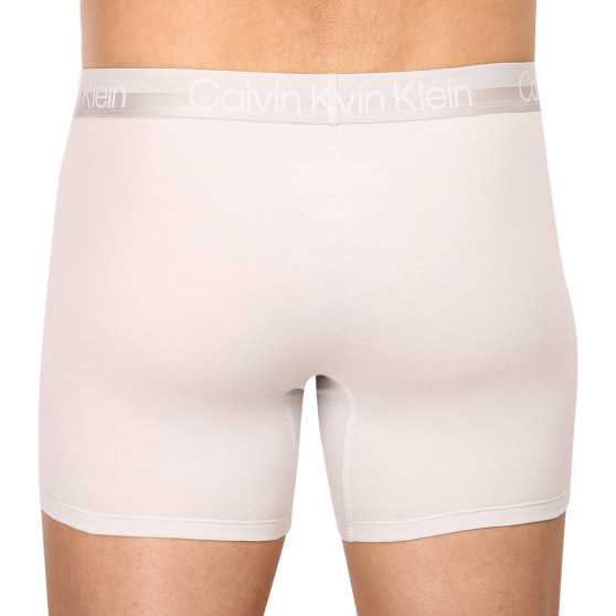 3PACK Boxers para hombre Calvin Klein multicolor (NB2971A-CBC)