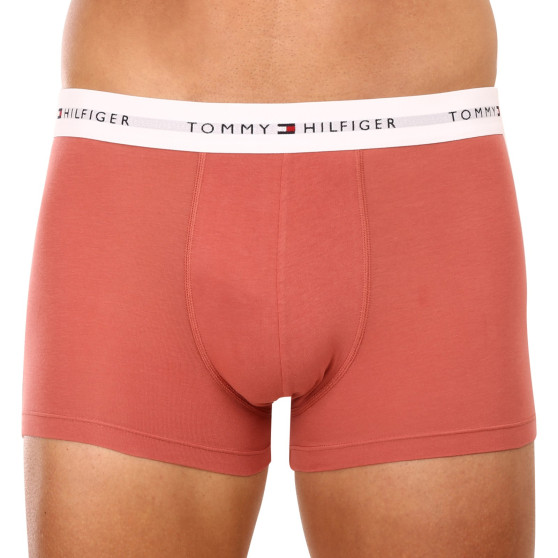 3PACK Boxers para hombre Tommy Hilfiger multicolor (UM0UM02761 0TF)