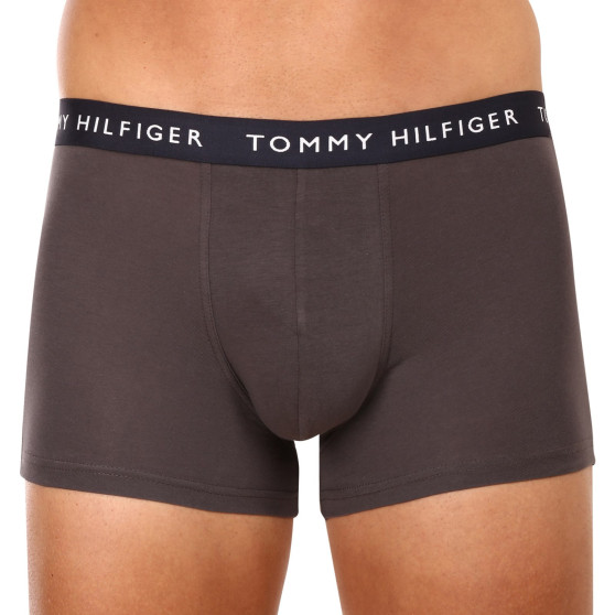 3PACK Boxers para hombre Tommy Hilfiger multicolor (UM0UM02203 0XX)