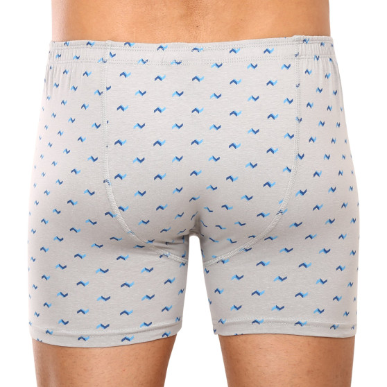 Boxers para hombre Gino gris (74146)