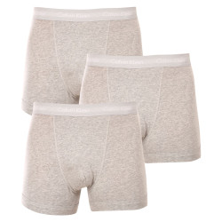 3PACK Boxers para hombre Calvin Klein gris (U2662G-080)