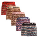 5PACK Boxers para niñas con pernera Gianvaglia multicolor (813)